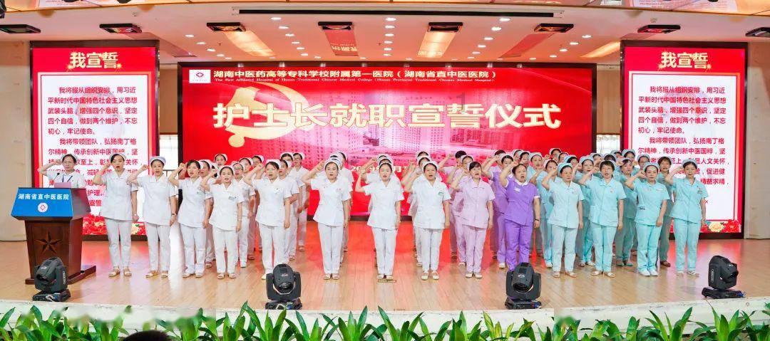 省政协十三届一次会议以来，政协委员、政协各参加单位和各专门委员会共提出提案1017件